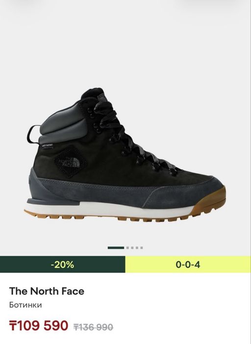 Ботинки мужские The North Face