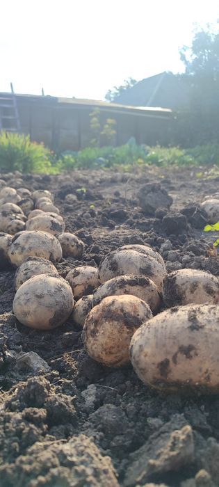 В продаже жилой дом