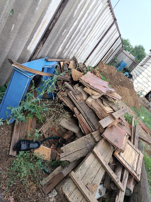 Отынға жағатын ағаштар