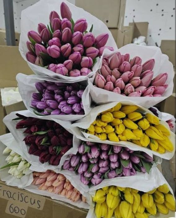 Тюльпаны к 8 марта.
Тюпаны