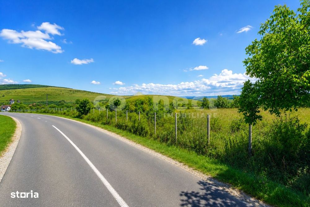 Teren intravilan de vanzare | 2942 mp | Ciurila, Cluj