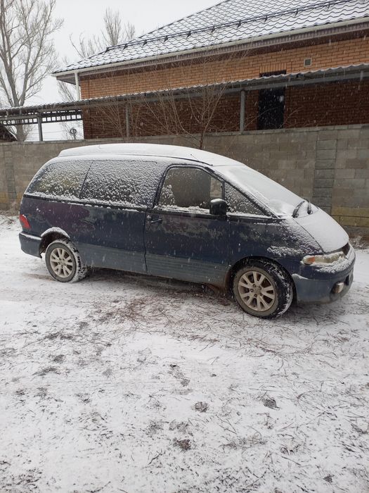 Срочно продам люсида