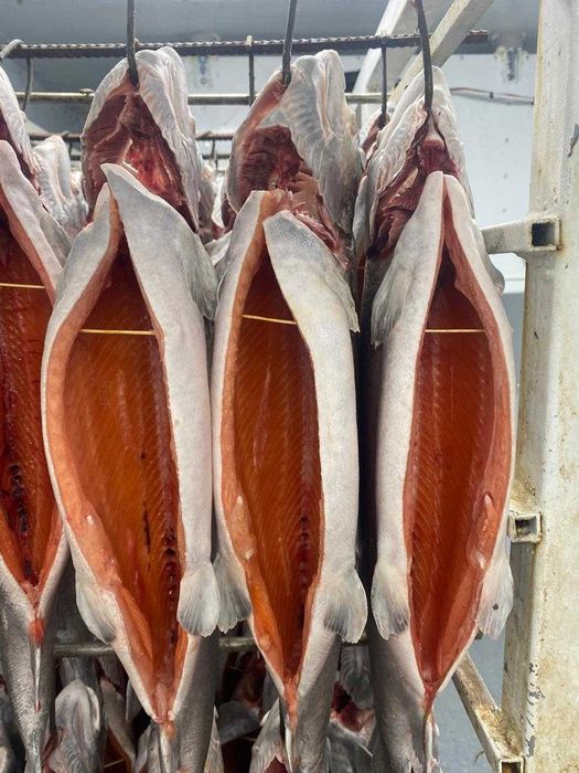 Форель от производителя