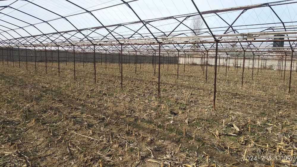 Issiqxona bino-inshoatlari