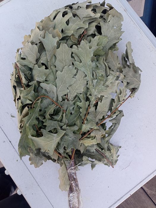 Веники дубовые банные