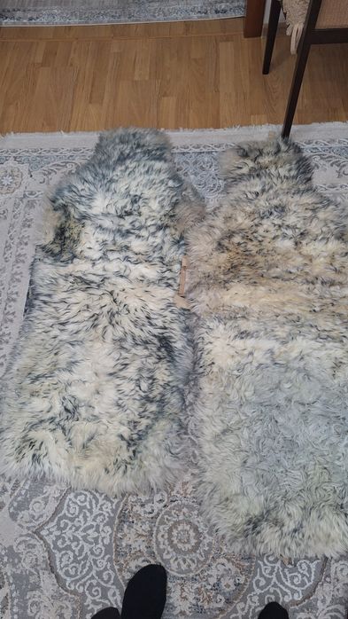 Срочно продам...
