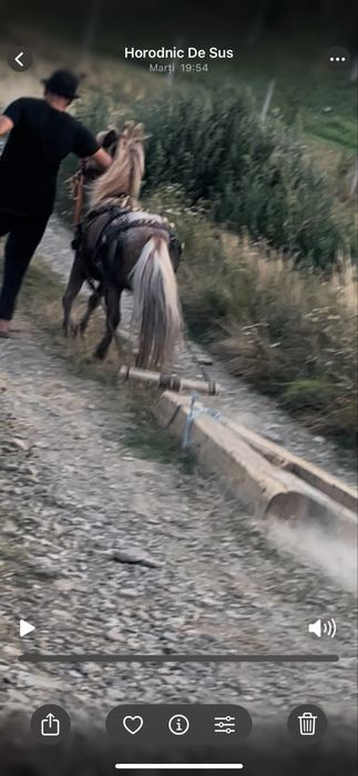 Ponei de  vnzare