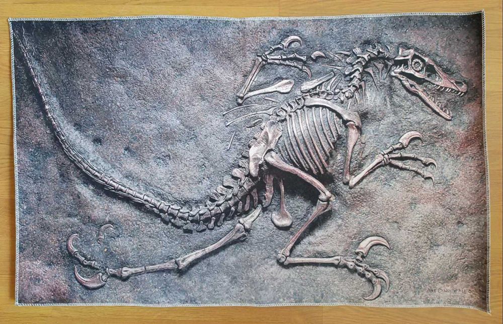 Велурен килим Fossil Art 3D Dinosaur, 47x77 см
