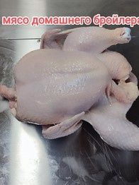 Продам мясо бролера