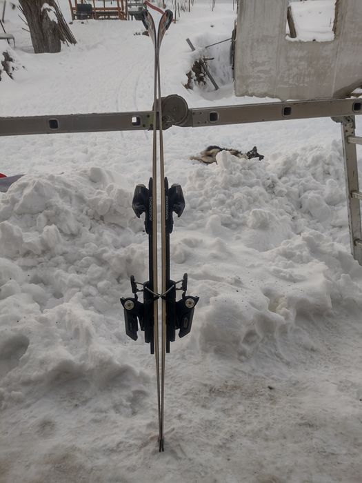 Vand schiuri Rossignol Radical FIS 145 cm