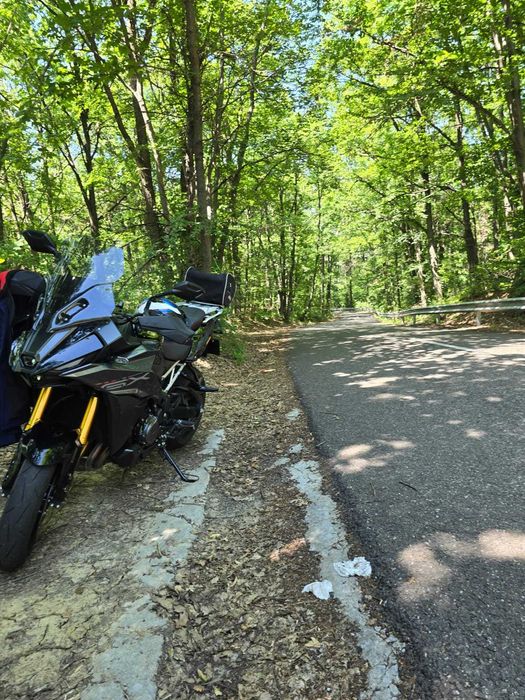Suzuki GSX-S1000 GX | 2024 | 6.000 km