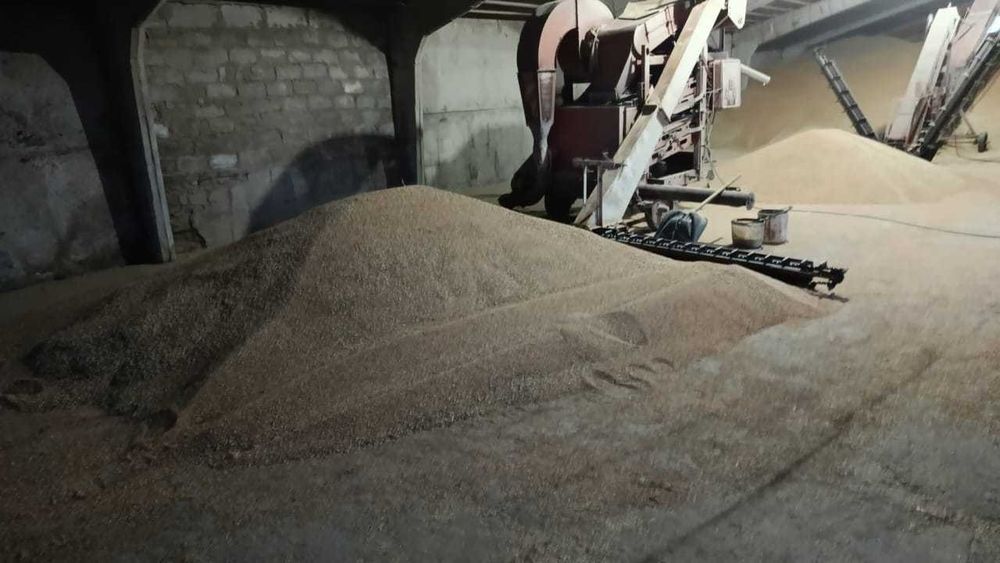 Продам пшеницу, 75 ТГ за кг