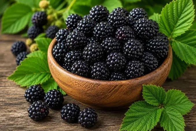 Mure thorn free fără spini