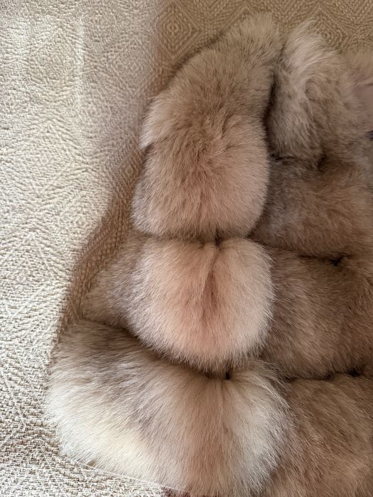 Haina de blana de vulpe