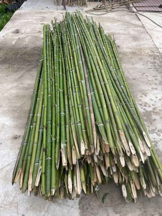Araci/pari de bambus