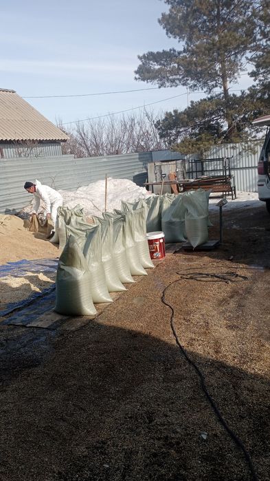 Зерновые отходы пшеничные гречневые