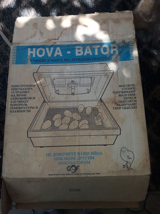 инкубатор холати ало