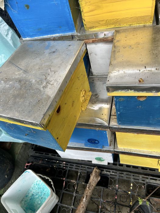 Пчелно оплдоно сандъче