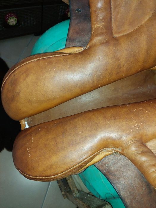 Vând șa călărie și antrenament