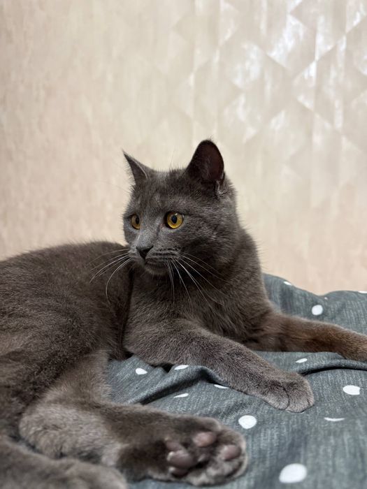 Малыш в самые ответственные руки!