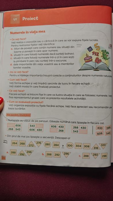 Teme cu elevii de clase I-VI