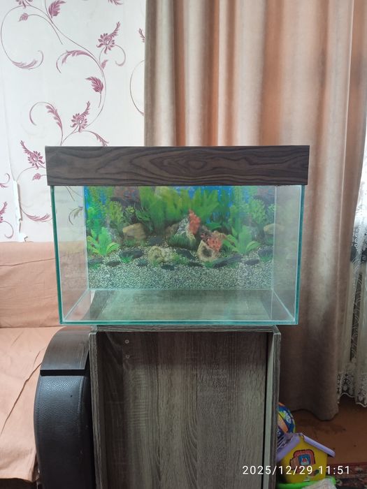 Продам аквариумы