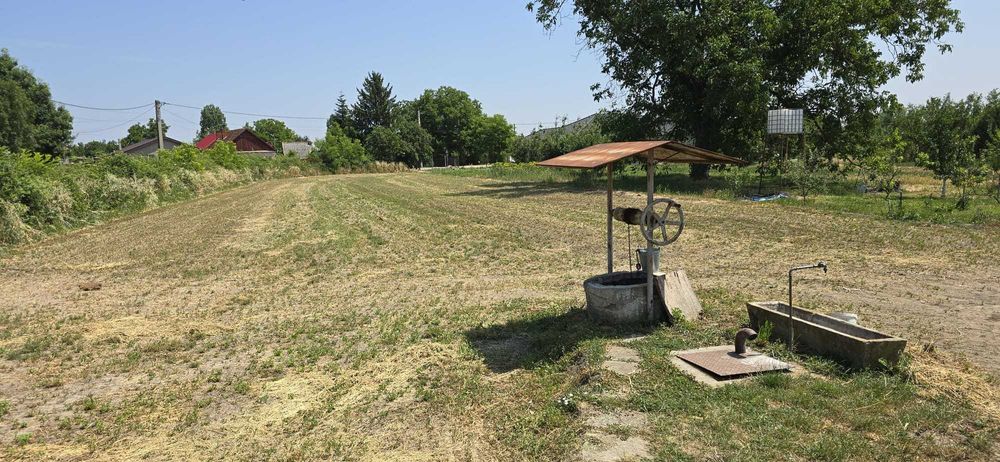 Teren intravilan Niuved 1706 mp