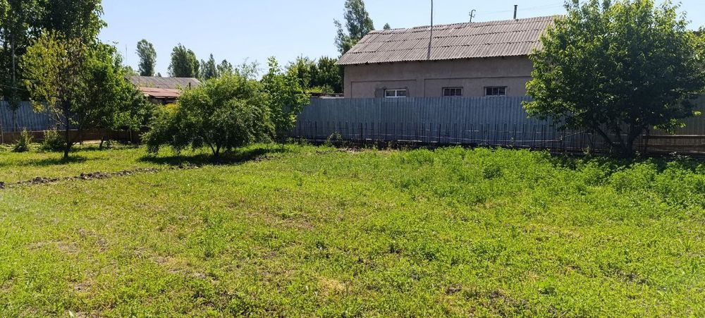 Yangiyoʻl tumanida 5 soʻtix yer maydoni