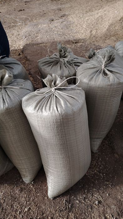 Ячмень сатылады қапталған