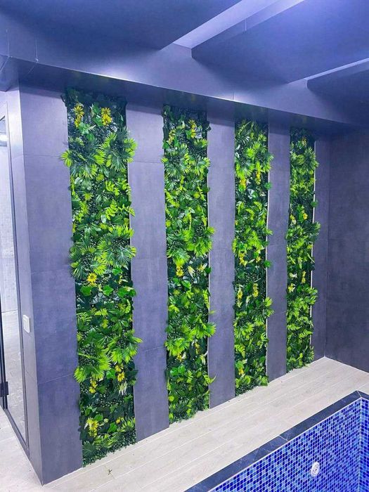 Фитостена озеленение,