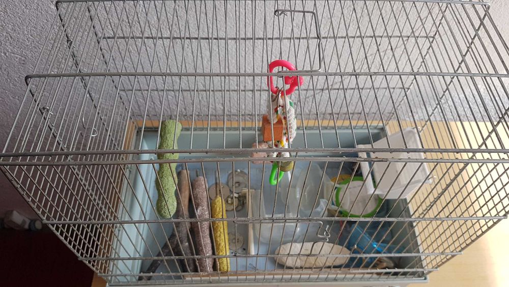 Клетка за гризачи