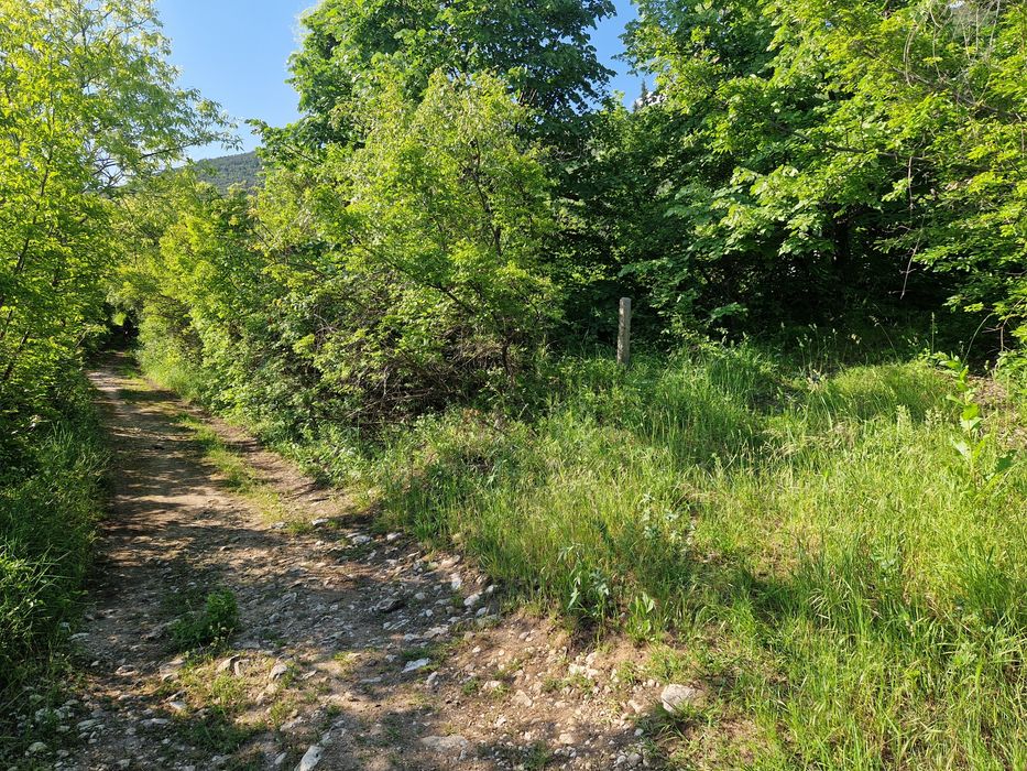 Продава се Земеделски имот в Асеновград -  кв.м за 8 €/дка - Снимка #4