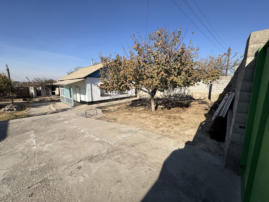 Сарыагашта уй сатылады