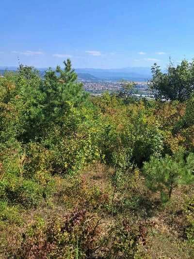 Парцел гр.Севлиево  1500 кв м местност Крушевски баир,южен