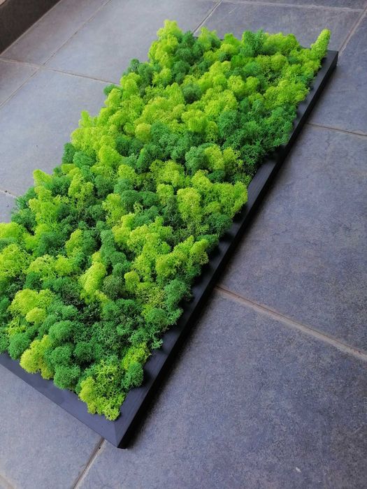 Пано от скандинавски мъх , Пана и картини по поръчка , декорация зелен скандинавски мъх с рамка или без