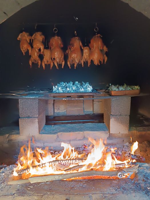 Барашек куры утки кролики рыба в  тандыре