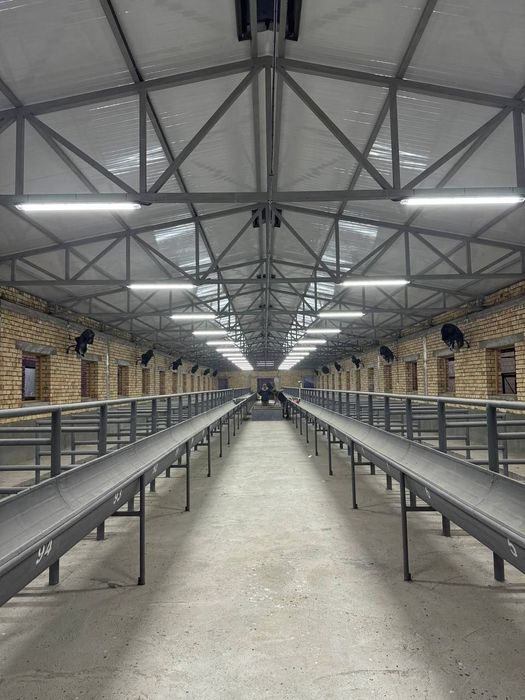 Продажа готовой фермы для крупного рогатого скота