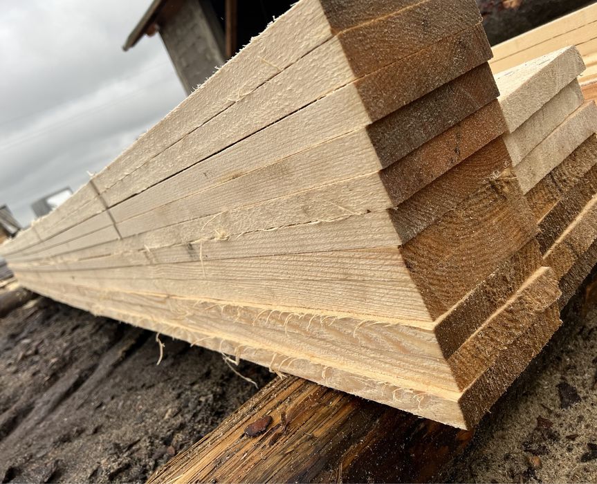 Cherestea Molid si Brad