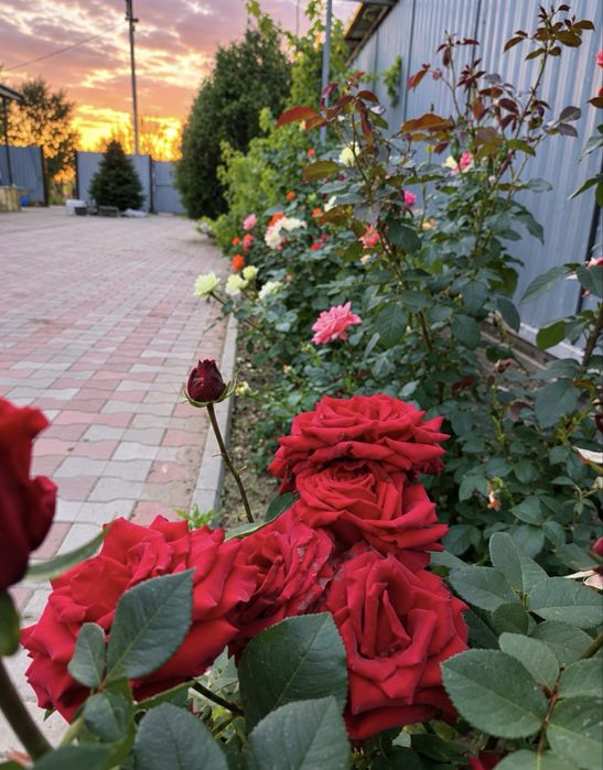 Продам дом в Жанаконыс 1