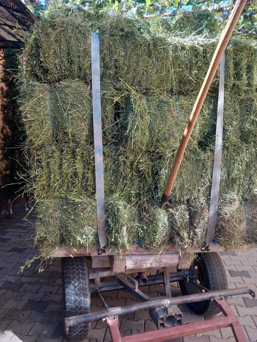 Baloți de fân, otavă și lucernă