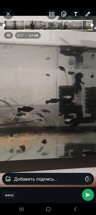 200т Балык сатылады