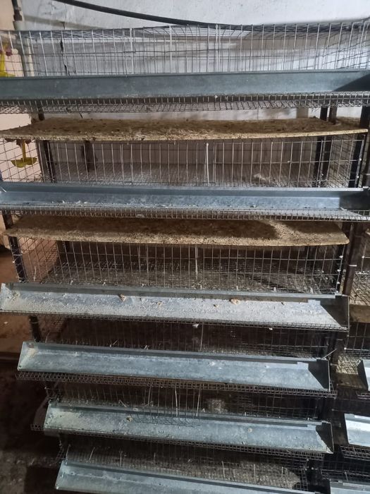 Клетки для перепелки бодене