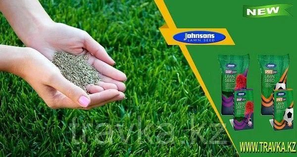 Газон сажайим 1000