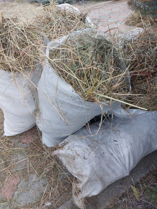 Сено в мешках ДСР