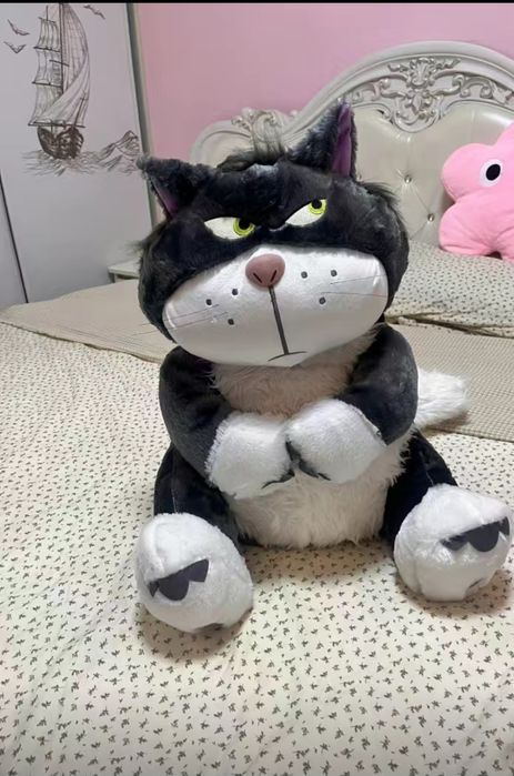 Продам большого кота