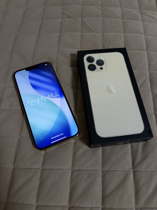 iPhone 13 pro max
