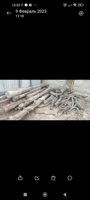 Утин / Кунда/  сотила