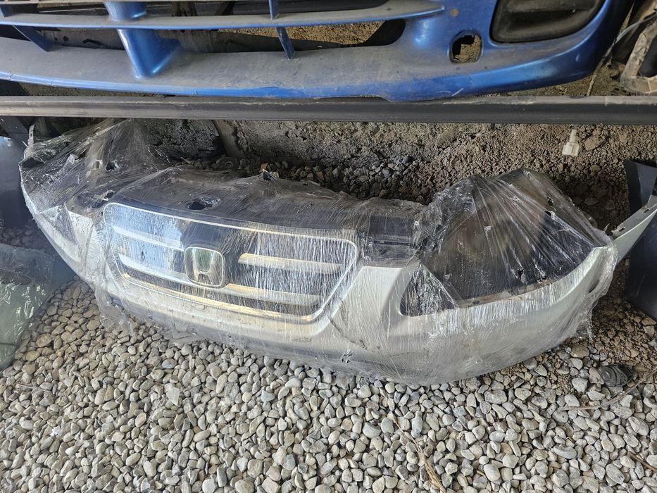 Мини морды ноускат