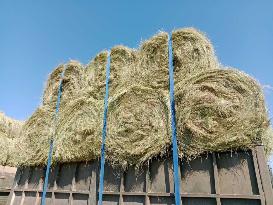 Сено разнотравье