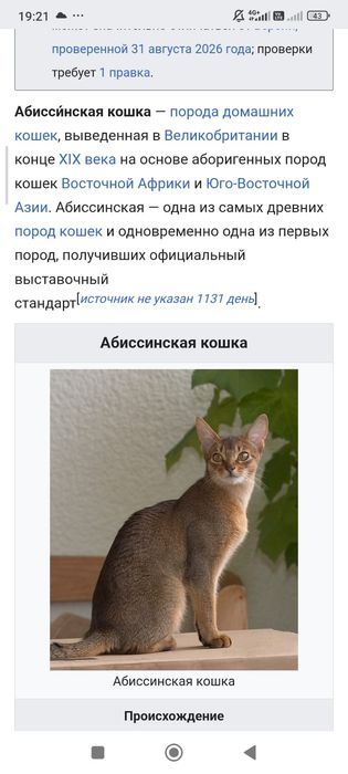 Отдам в хорошие руки кошку.